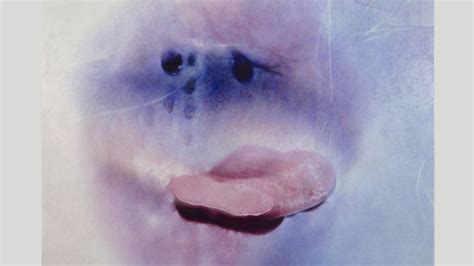 Sex positivity after 70: Marilyn Minter’s sensual photographs of ...